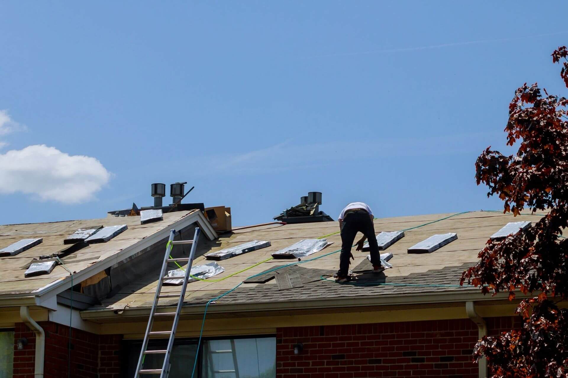 A-Girl-On-A-Roof-Shingles